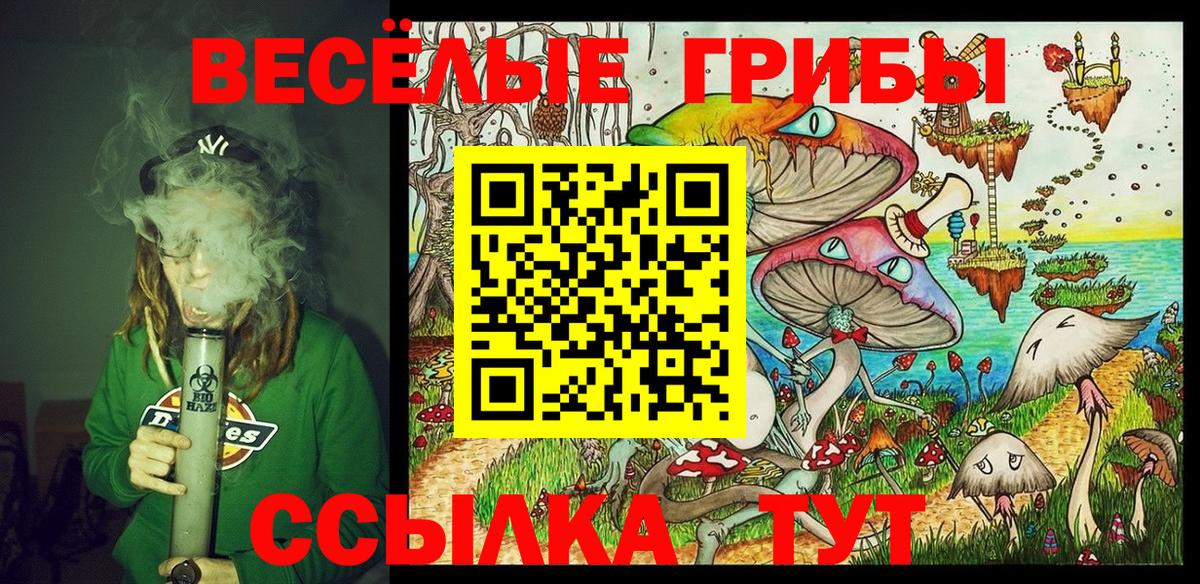 Псилоцибиновые грибы Cubensis Печора